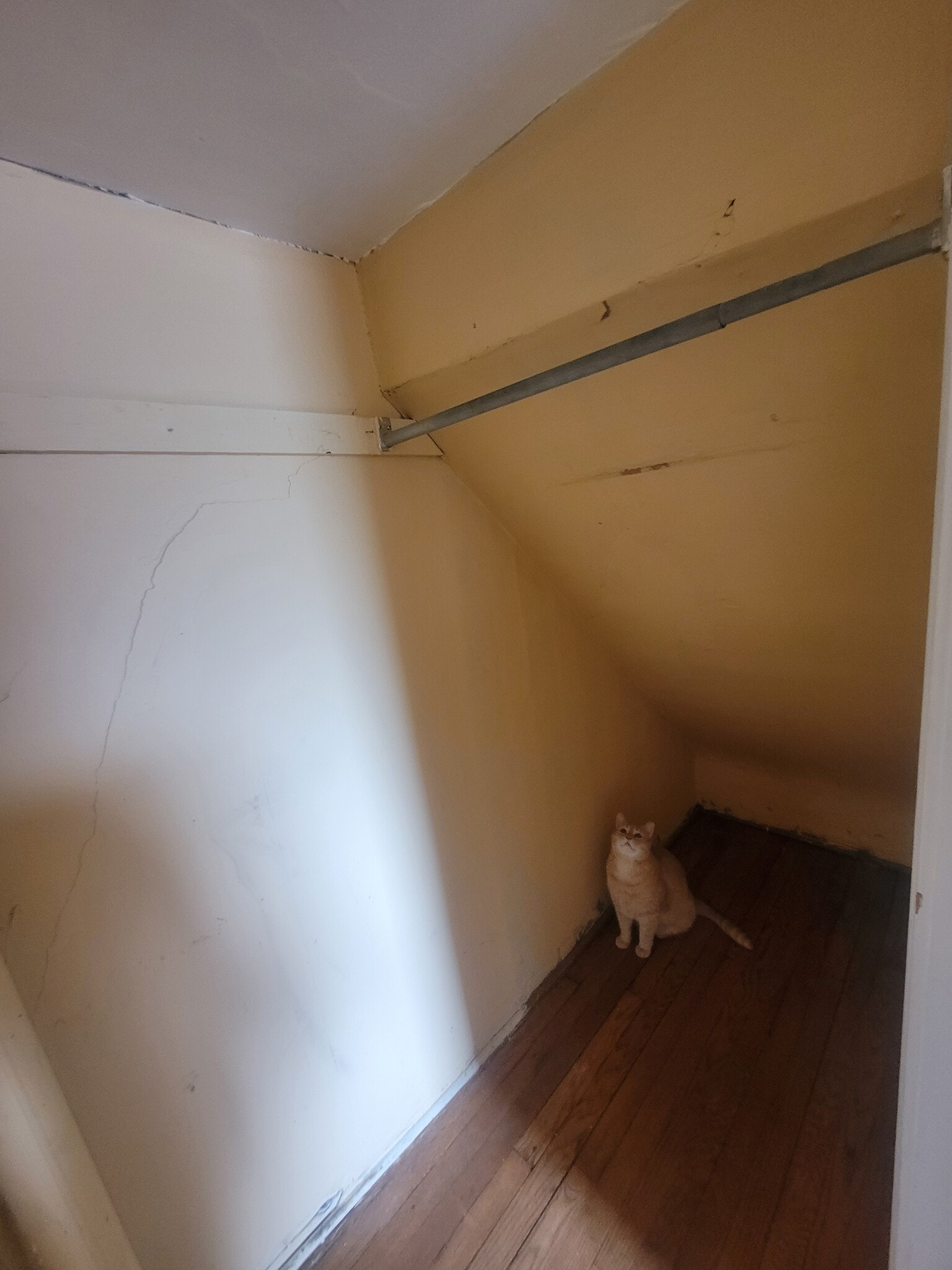 2nd Rooms closet - 107 Bassett St