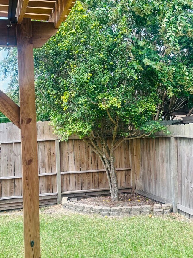 Building Photo - 6017 Tapestry Dr