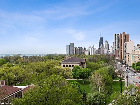 View from Sundeck - 2000 N Lincoln Park W
