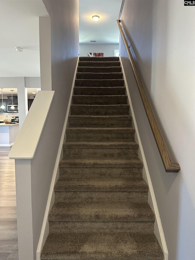 Building Photo - 66 Brazilian Dr