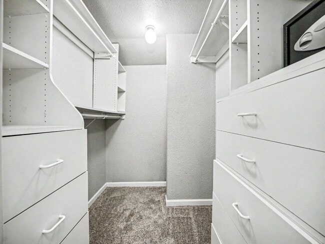 Building Photo - Spacious 4-Bedroom Lacey Home with A/C, Basement Bonus Space & Wetlands Privacy