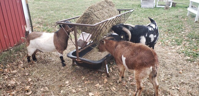 Building Photo - 9500 Fox Valley Dr