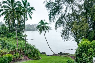 Building Photo - 355 Kalanianaole St