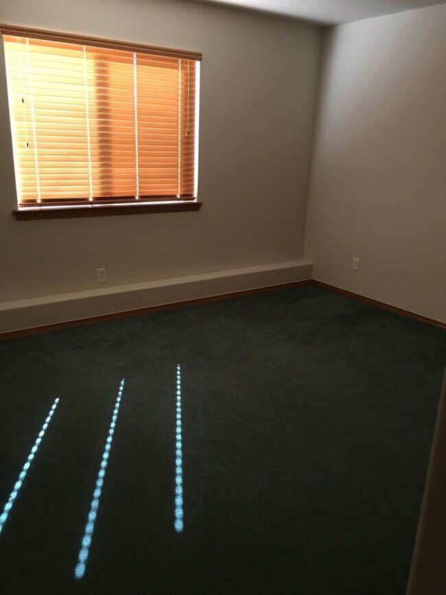 Building Photo - Large 4 bedroom house that is Pet Friendly!