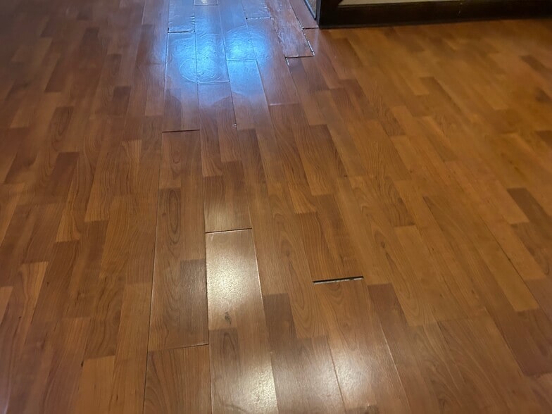 Living Room - 2432 Stevens Ave