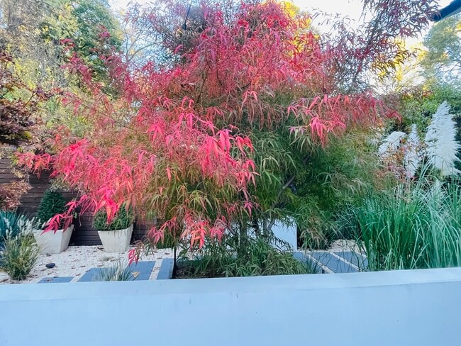 Building Photo - 204 Datura Dr