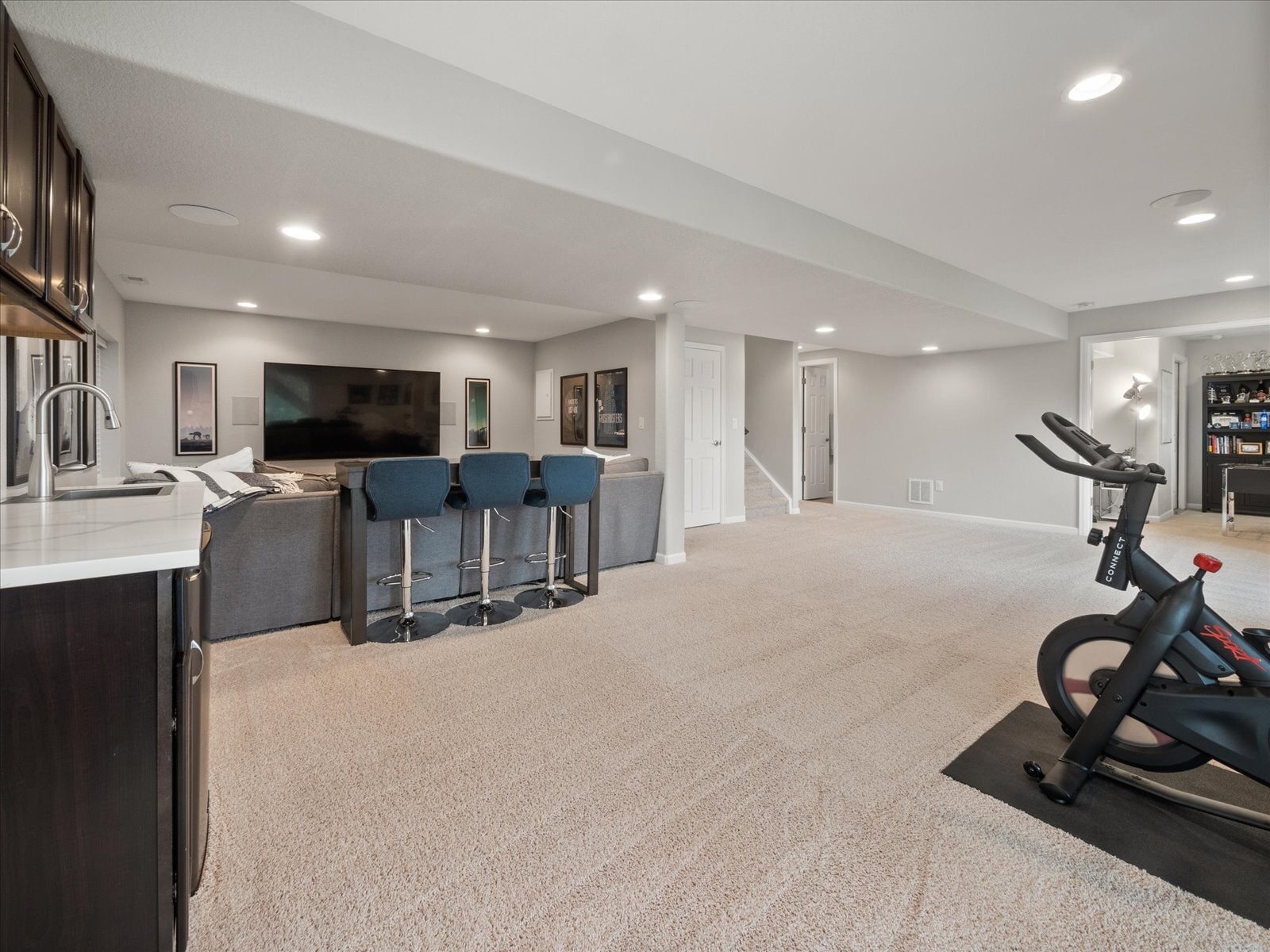 Basement - 1048 Orion Way