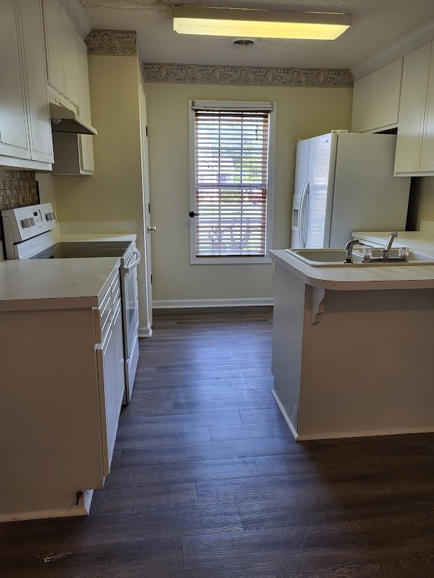 Building Photo - 1021 Centipede Dr