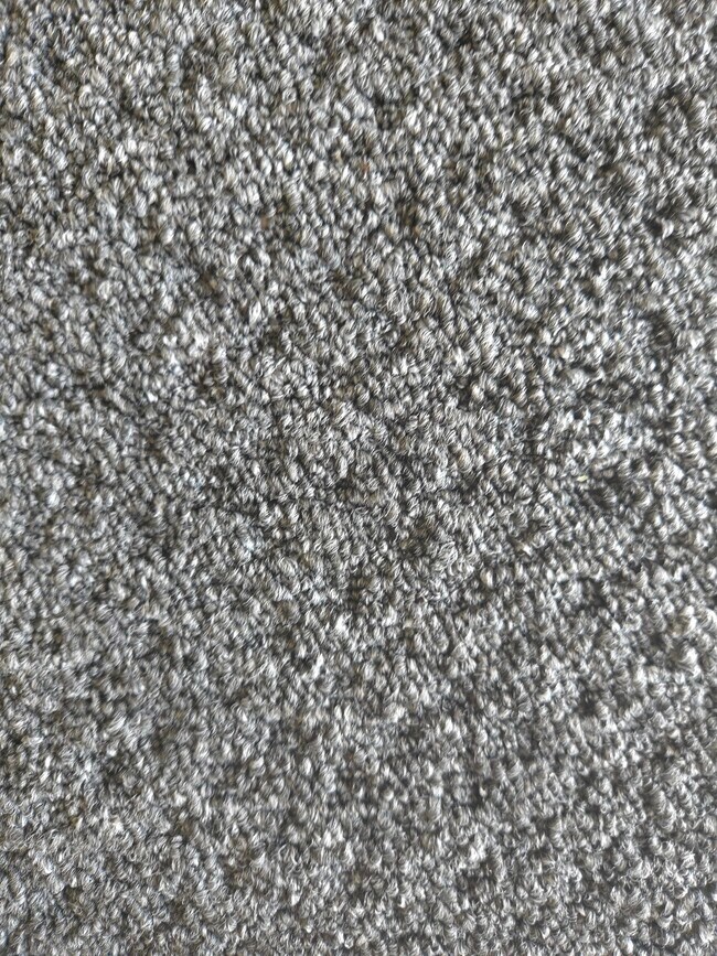 Building Photo - 3409-3410 10 Th Ln W