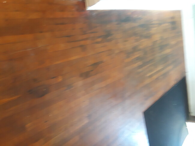 Wood floors - 69 Sycamore Ave