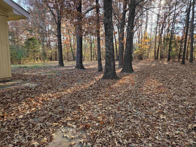 Building Photo - 156 Pottawattamie Dr