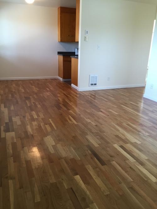 Building Photo - 1 bedroom in Seattle WA 98199