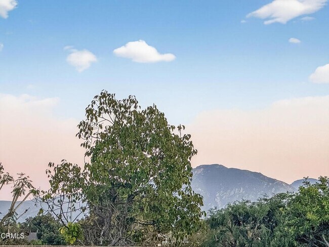 Building Photo - 1399 Cordova St