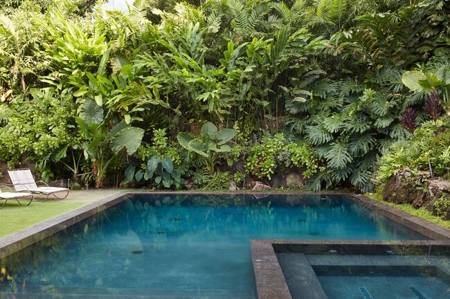 Building Photo - Exclusive Diamond Head Luxury Estate – A P...