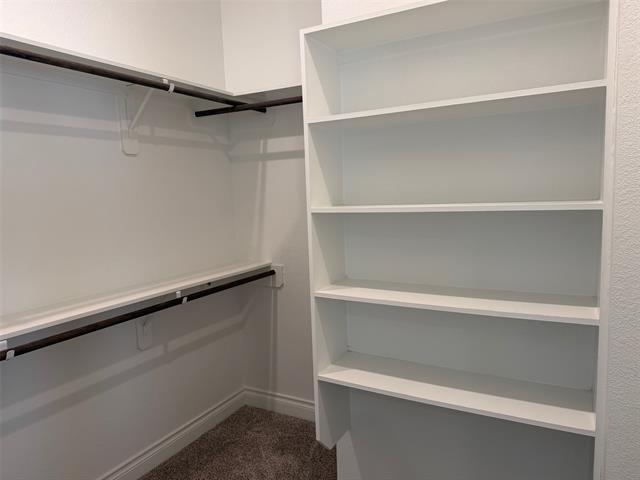 Building Photo - 2421 Stella Ln