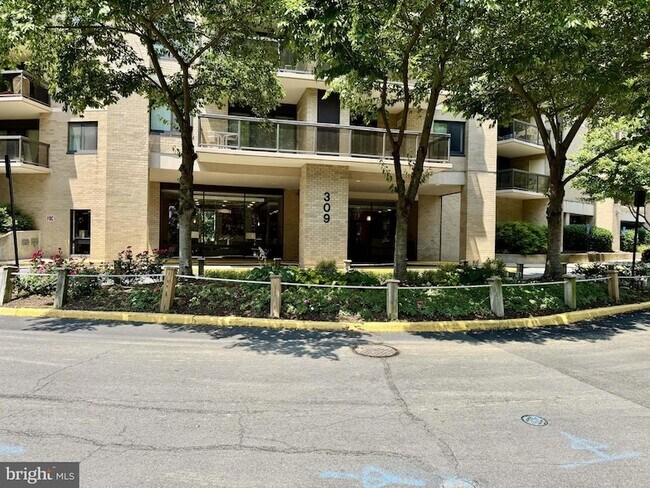Building Photo - 309 Yoakum Pkwy