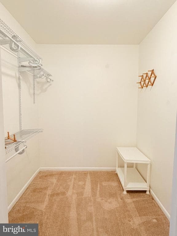 Building Photo - 201B Kelly Cove