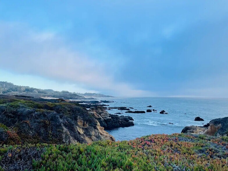 Coastline - 75 Fern Rd