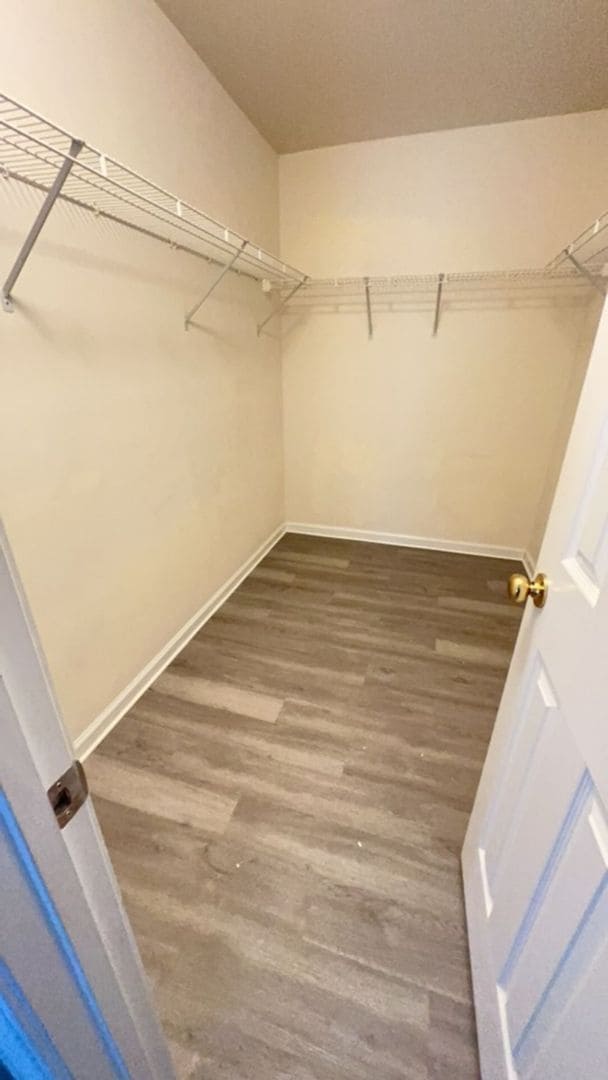 Building Photo - Woodbury 3 BD, 2BA home