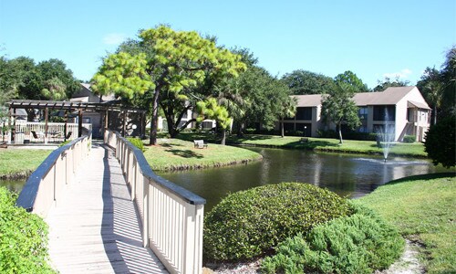 Baywater Apartments Tampa Fl Apartment Finder