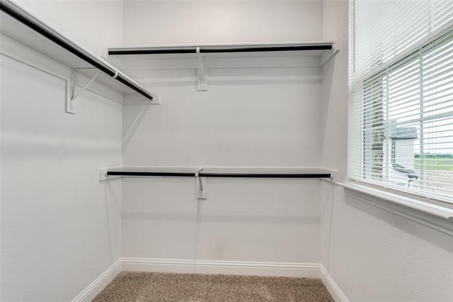 Building Photo - 1415 Enzo Ct