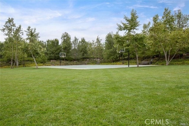 Building Photo - 103 Bianco