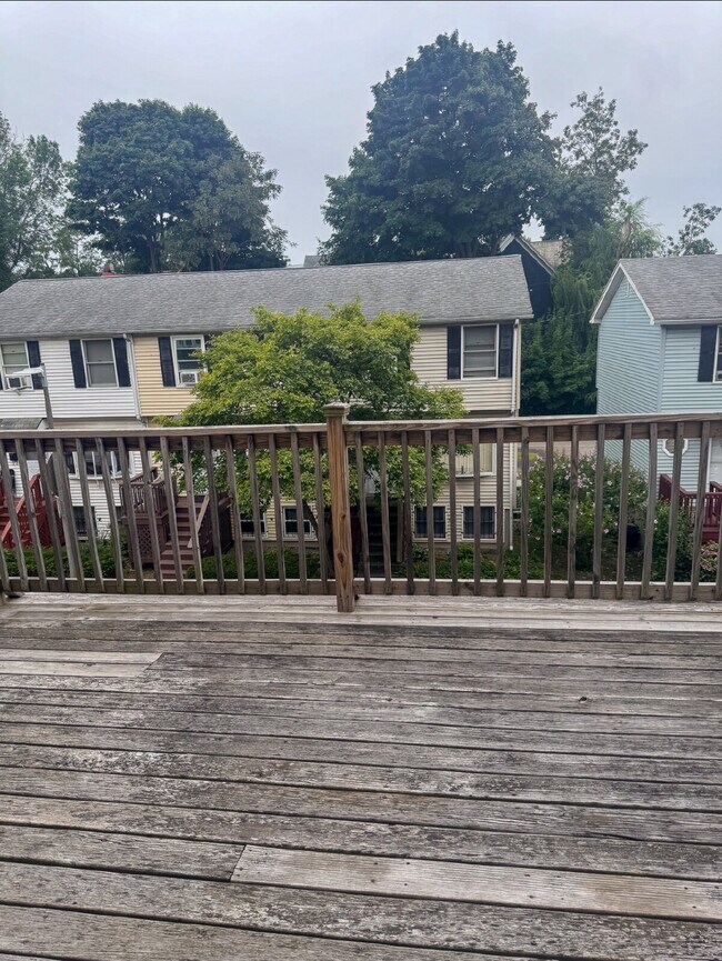 Building Photo - Spacious  4 Bed 2 Bath Boston Gem