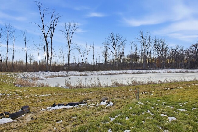 Building Photo - 7051 Aster Wy