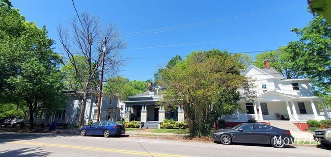 Building Photo - 209 E Peace St