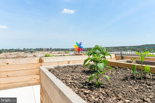 Building Photo - 901 H St NE