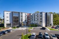 On the banks of the Red Cedar - Red Cedar Flats