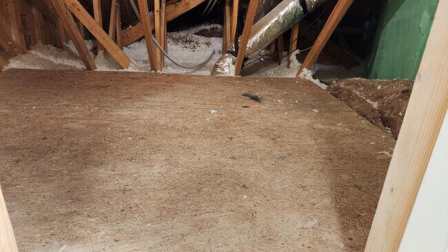 Building Photo - 1815 Fox Den Way