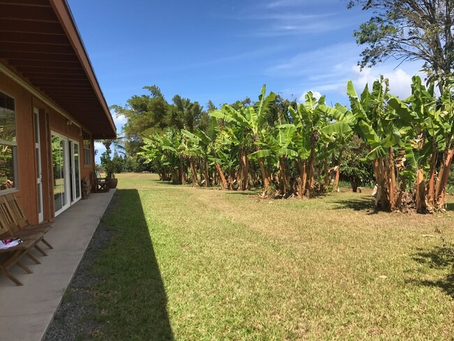 Building Photo - A Modernist Tropical Haven on Maui’s North...