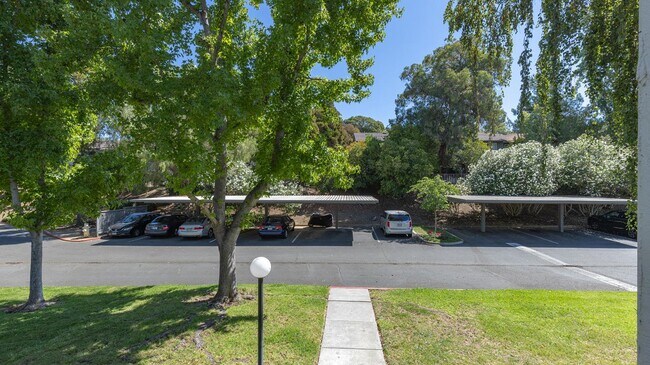 Building Photo - 900 Cambridge Dr