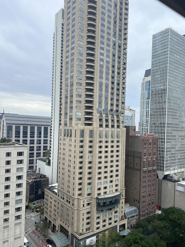 Building Photo - 777 N Michigan Ave