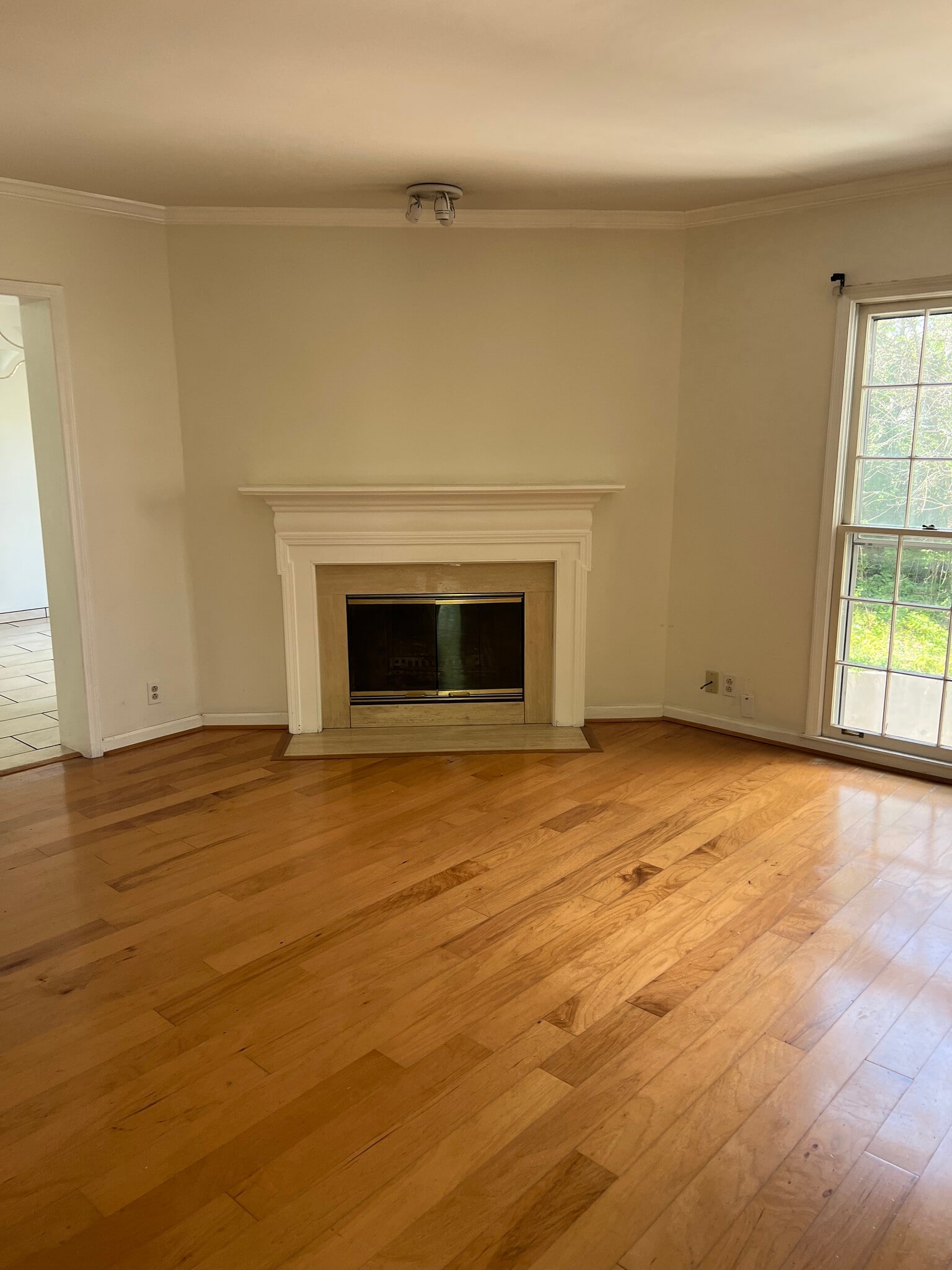 Living Room - 108 St Charles Pl