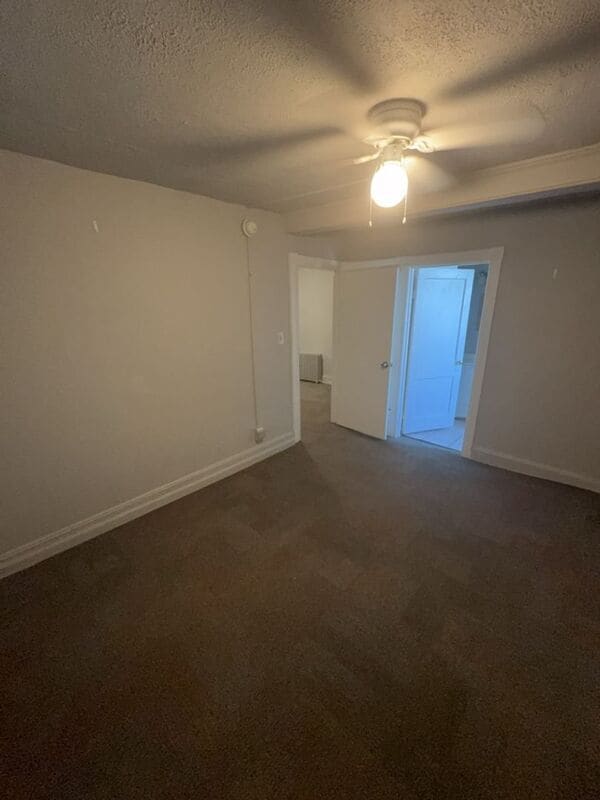 Building Photo - 209 Cattell St