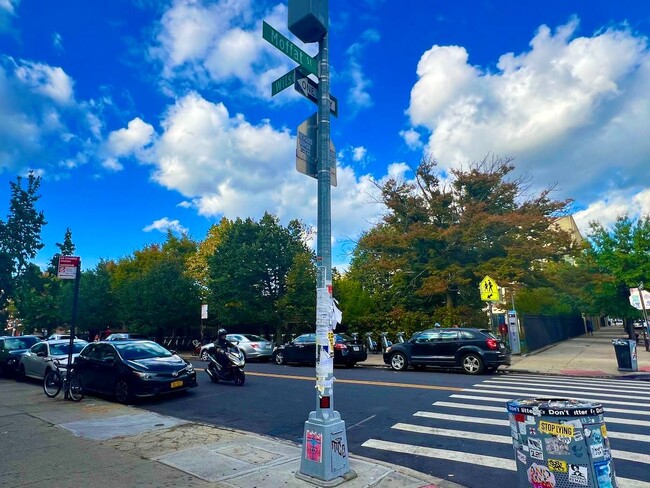 Building Photo - 203 Moffat St