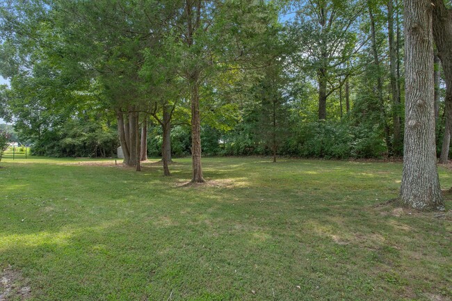 Building Photo - Pristine Brick Rancher in Sandston on an acre