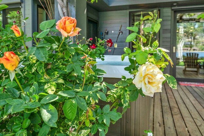 Building Photo - LAKEFRONT LUXURY ON LAKE STANLEY | FULLY FURNISHED + UTILITIES INCLUDED IN GUARDED LAKERIDGE SHORES