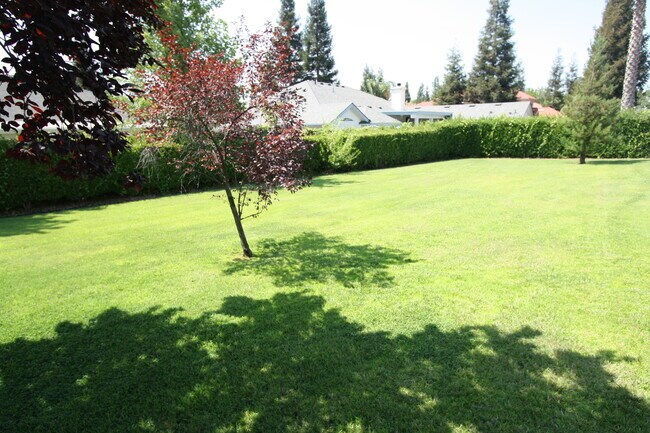 Building Photo - Available Soon! Fully Rehab!