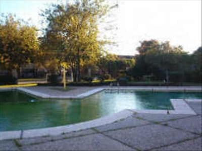 Pool - North Village Green Condo