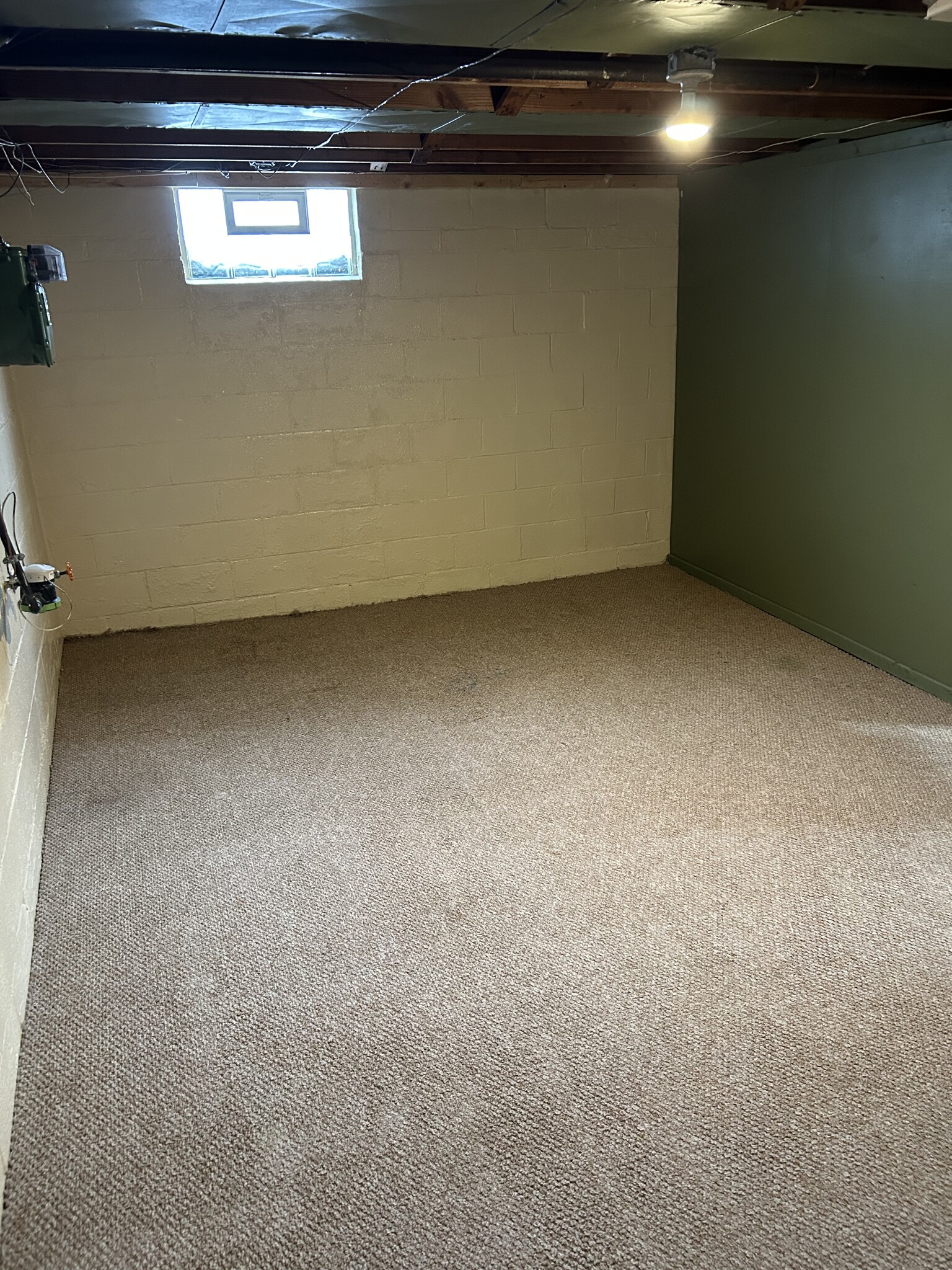 Basement - 226 Bonnett St SW