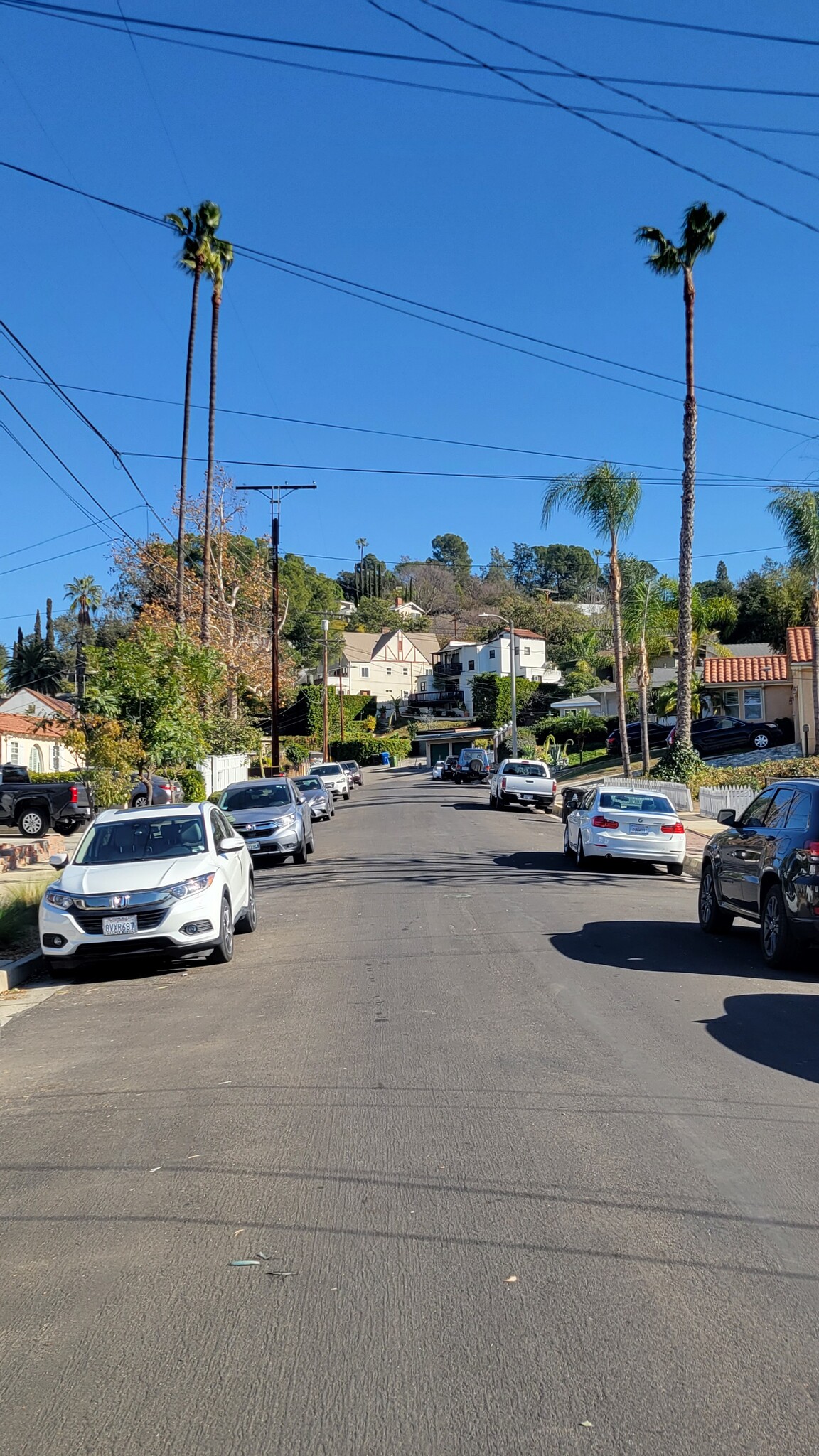 Building Photo - 2119 Las Colinas Ave