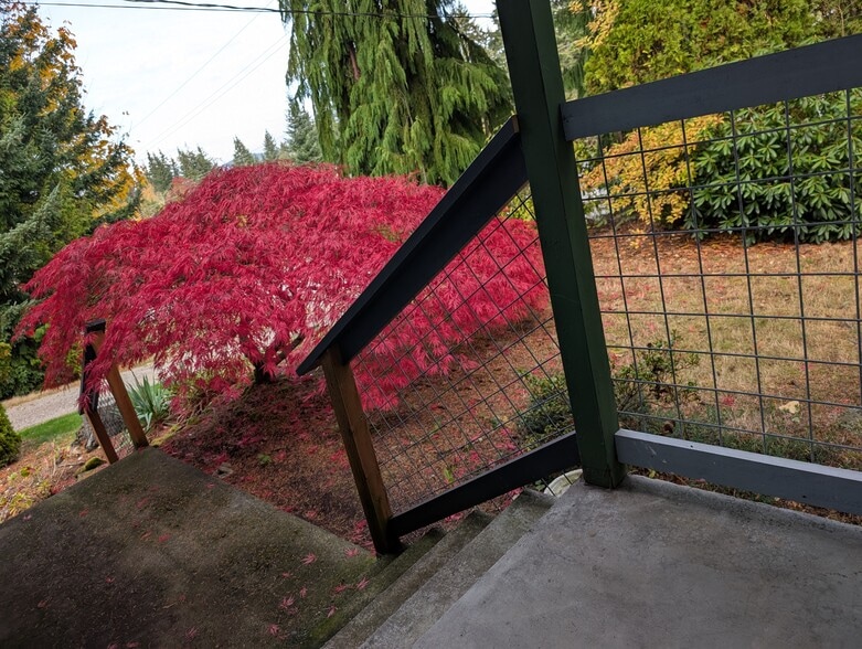 front entry japanese maple - 2575 Yew Street Rd