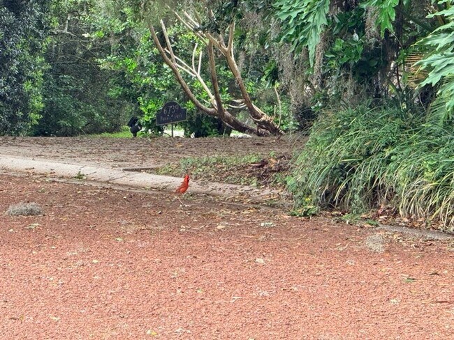 Building Photo - Large and Stunning 2700sqft Newly Renovated 3BR 3BTH!