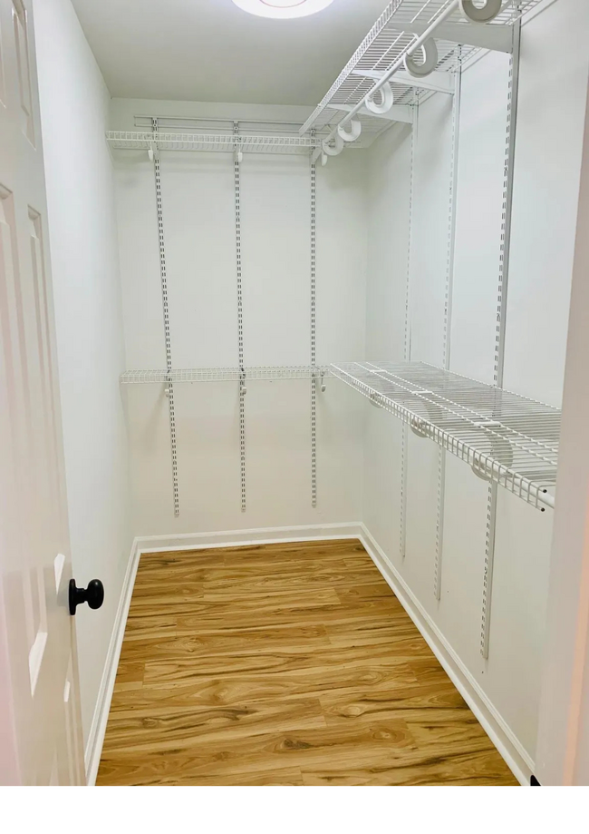 Spacious Walk-in Closet - 1602 Bubbling Brook Dr