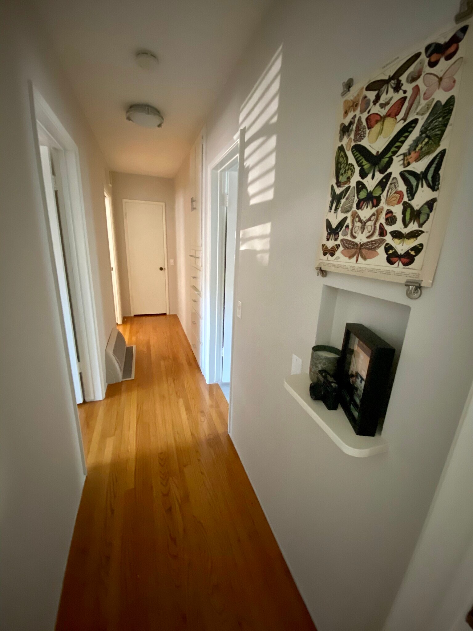 Hallway to bedrooms/bath - 272 Termino Ave