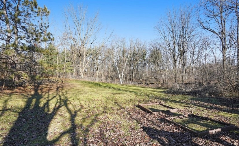 Backyard - 2811 3 Mile Rd NE