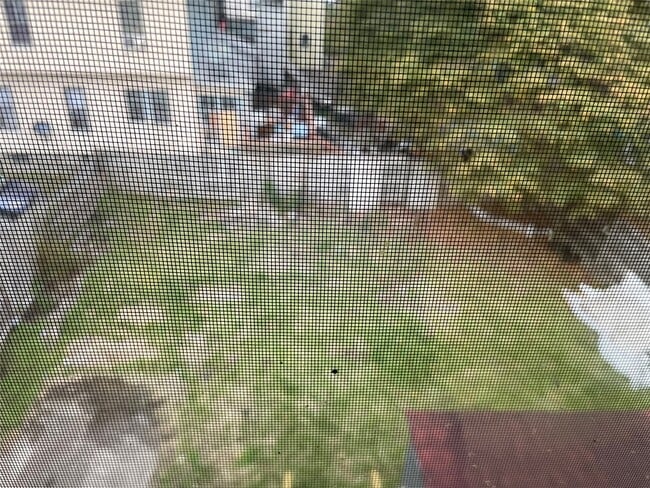 Building Photo - 50 Schubert St